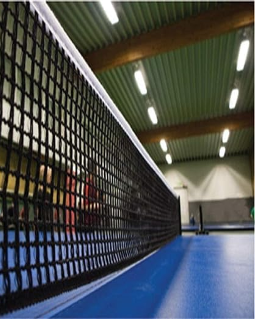 Stag Iconic Indoor/Outdoor Table Tennis Net