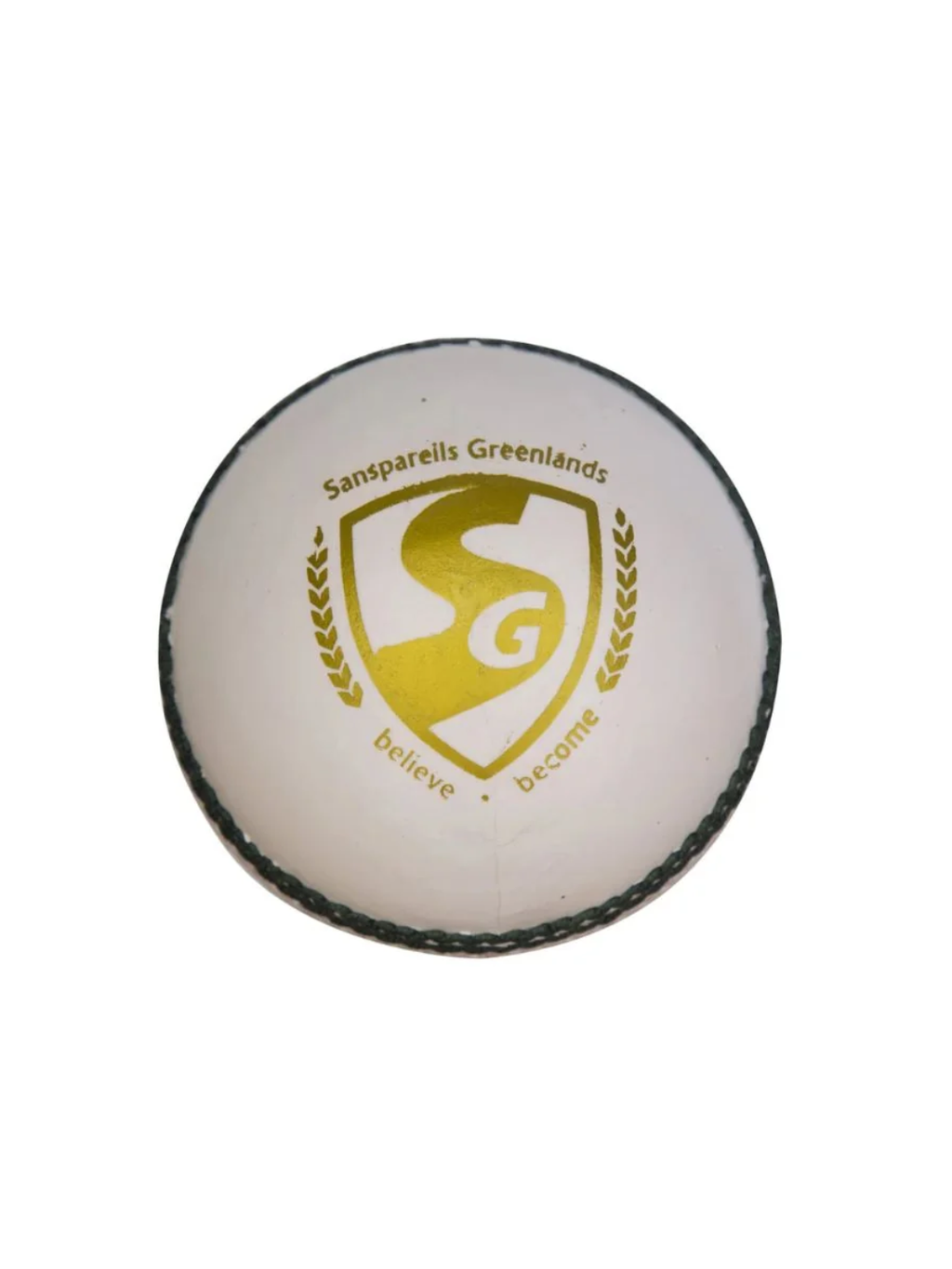 SG Club Cricket Ball (White)