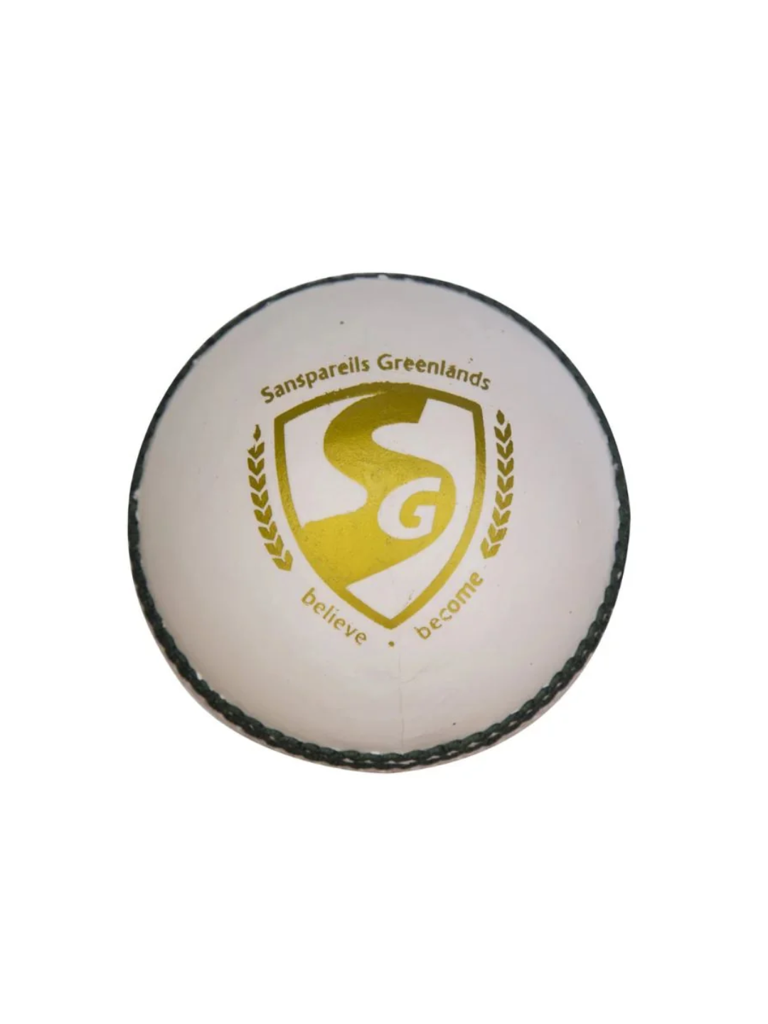 SG Club Cricket Ball (White)