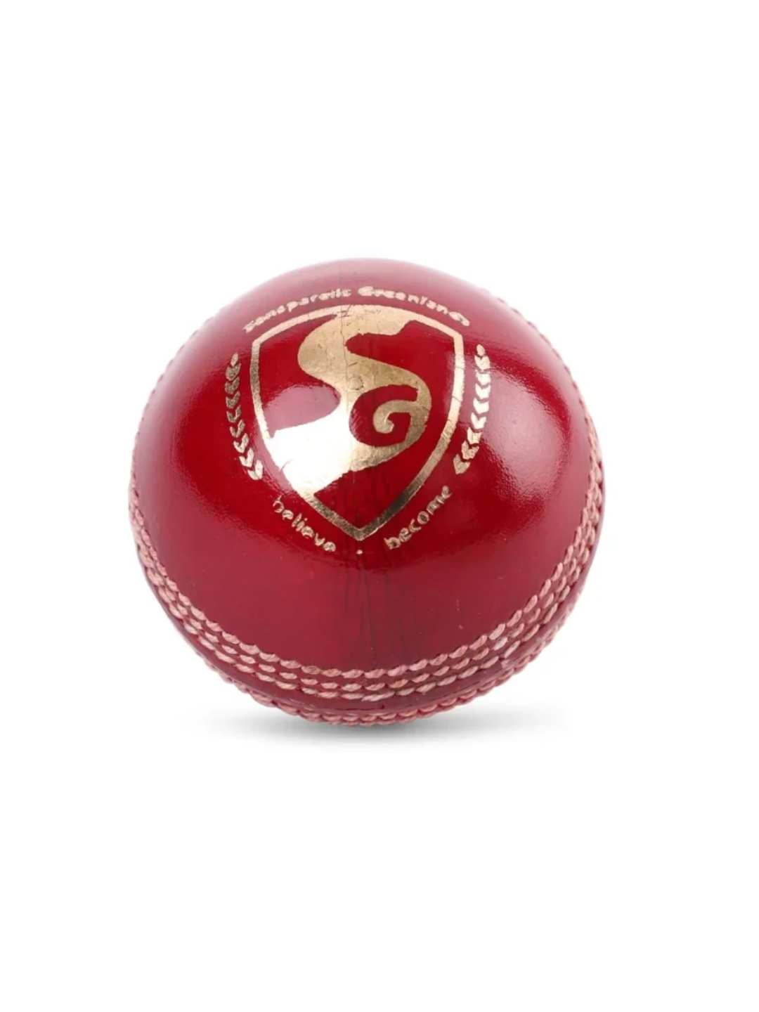 SG Shield 30 Cricket Ball