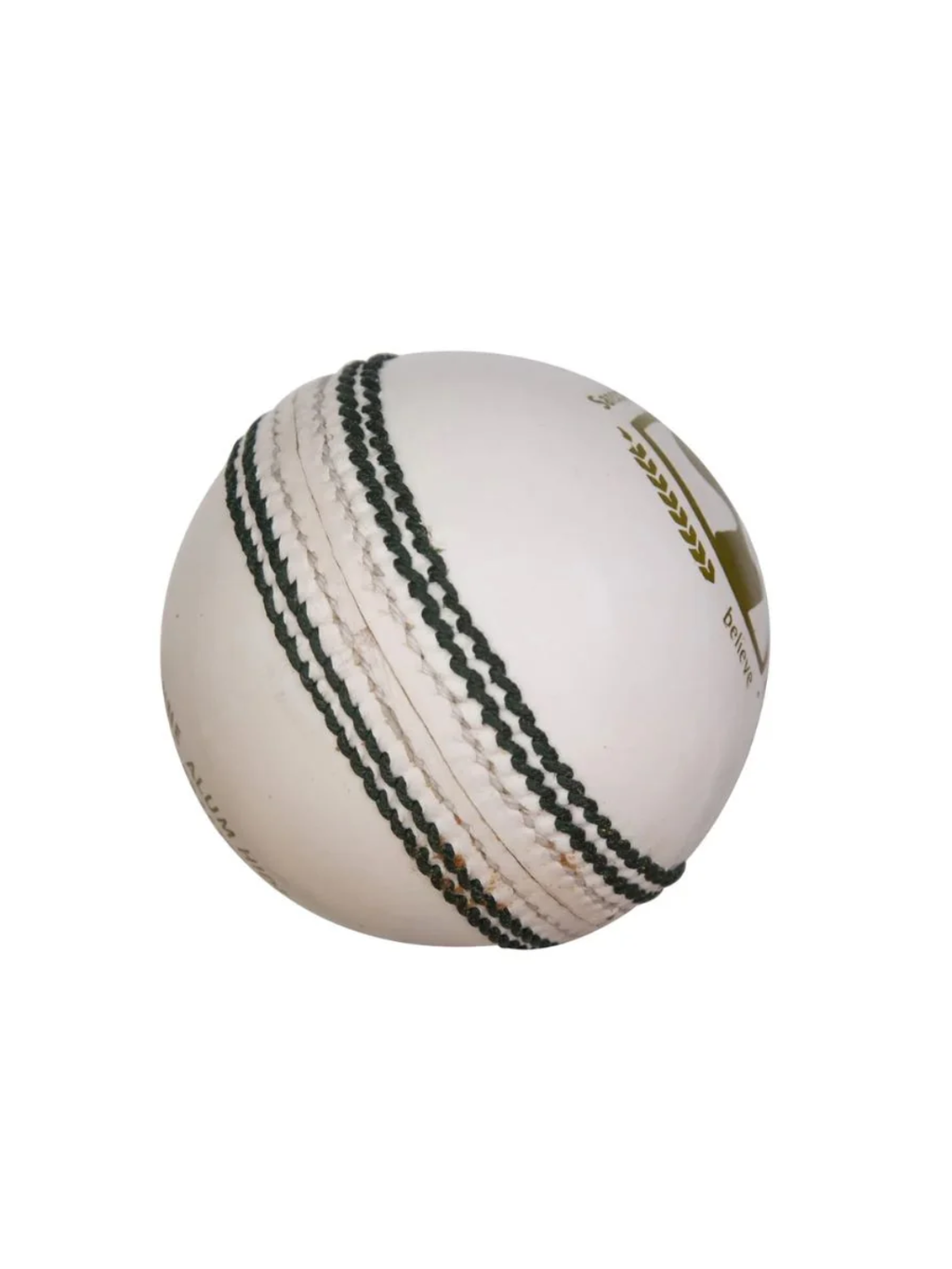 SG Club Cricket Ball (White)