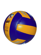 Spartan Super Volley Leather Ball