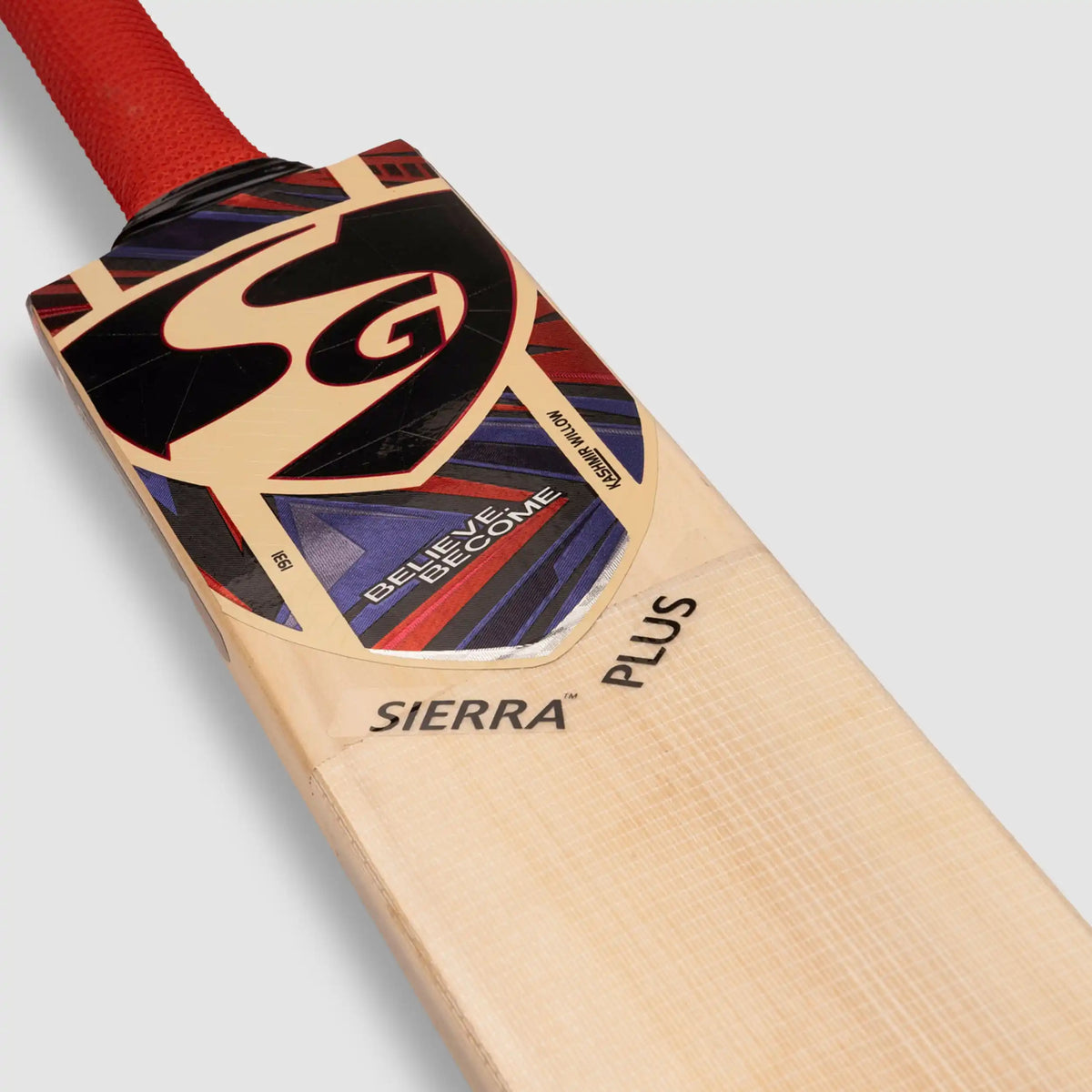 SG Sierra Plus Kashmir Willow Cricket Bat