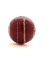 SG Super 50 Cricket Ball