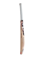 SG Sunny Tonny English Willow Cricket Bat