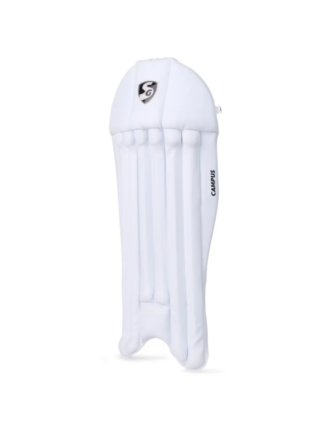 SG Campus Cricket Keeping Pads