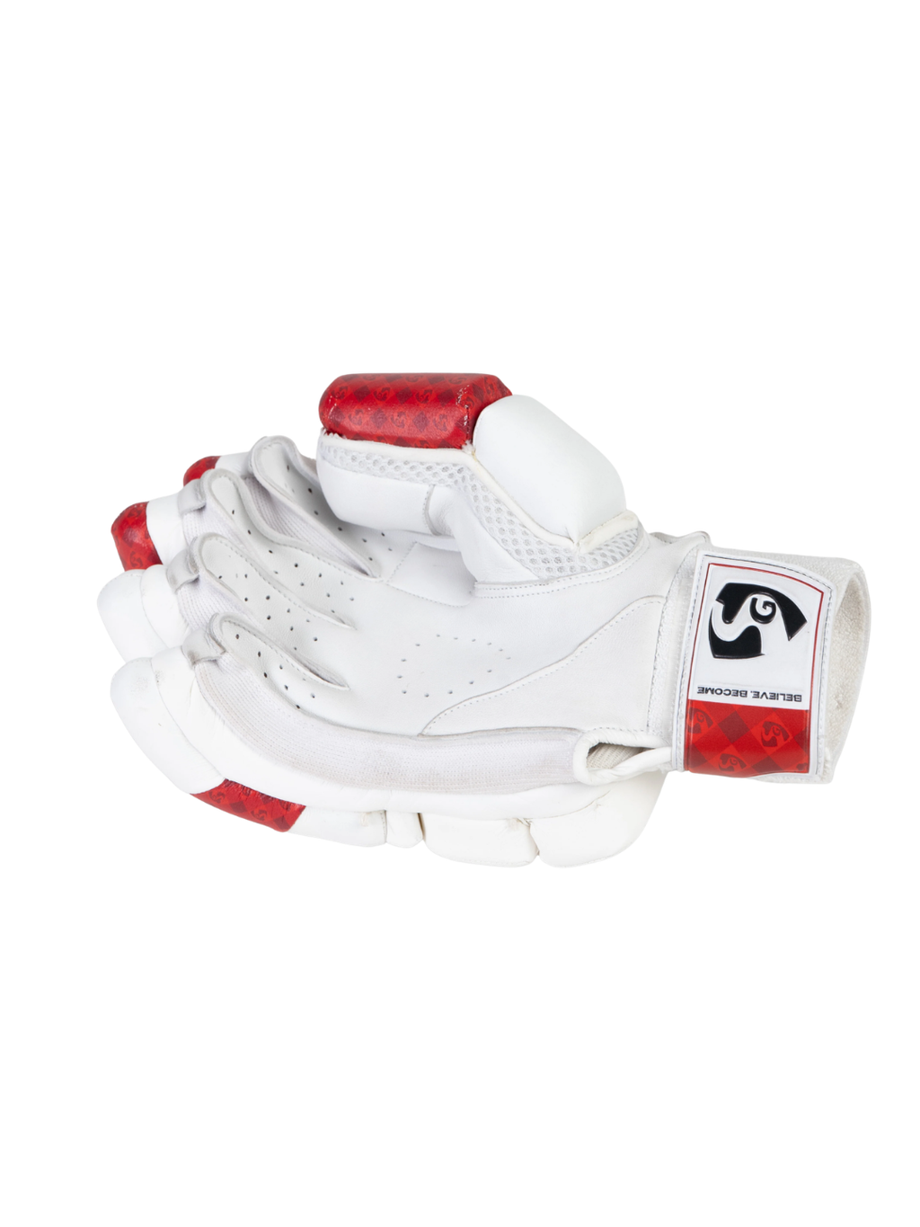 SG Test Cricket Batting Gloves