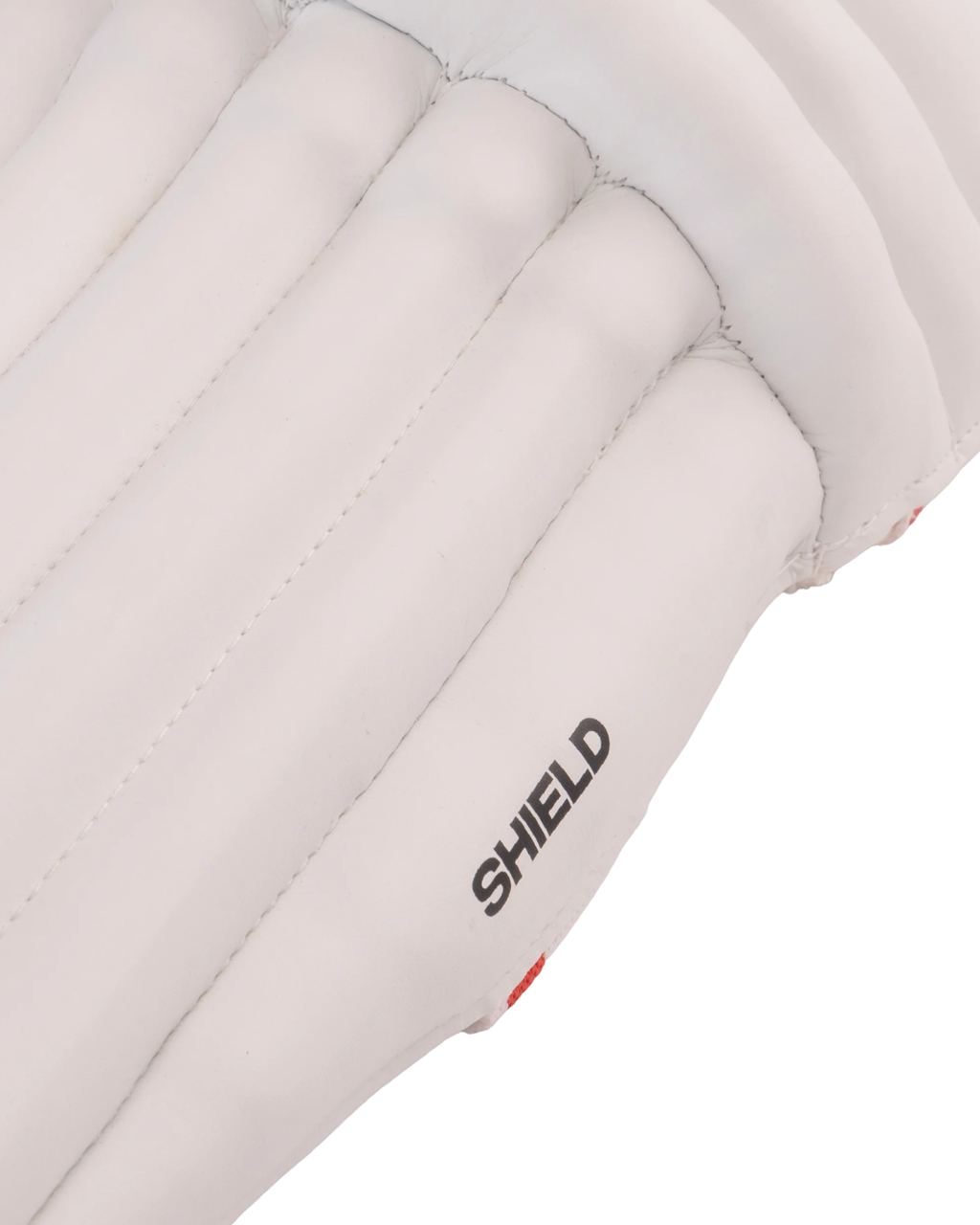 SG Shield Batting Legguard