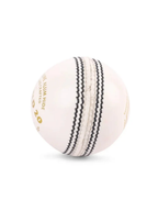 SG Shield 20 Cricket Ball