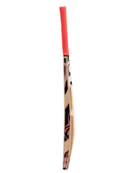 SG T-1200 Cricket Tennis Bat
