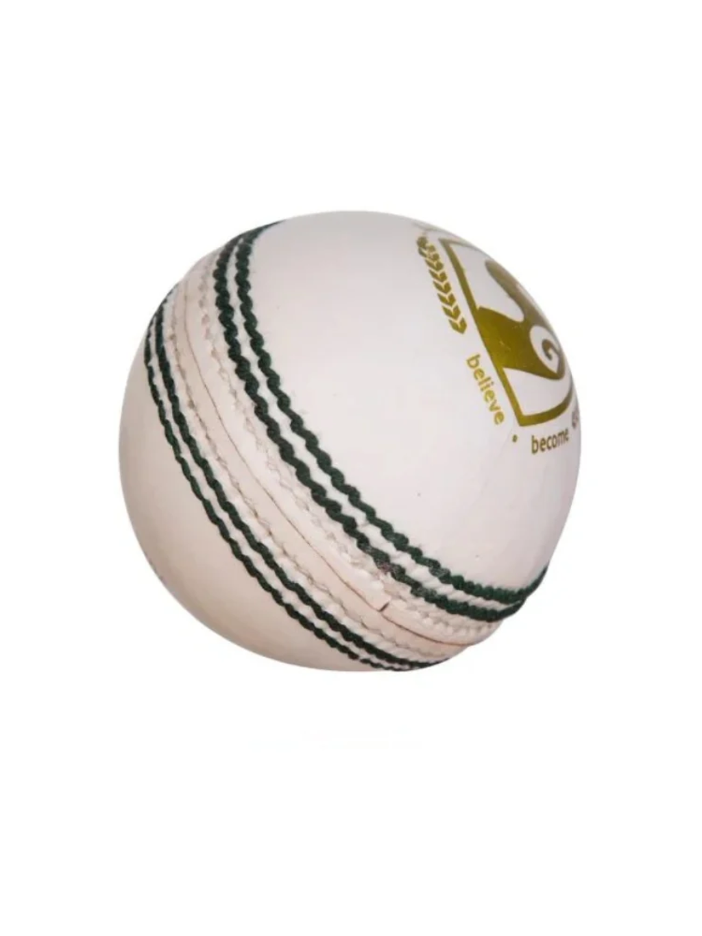 SG Shield 30 Cricket Ball
