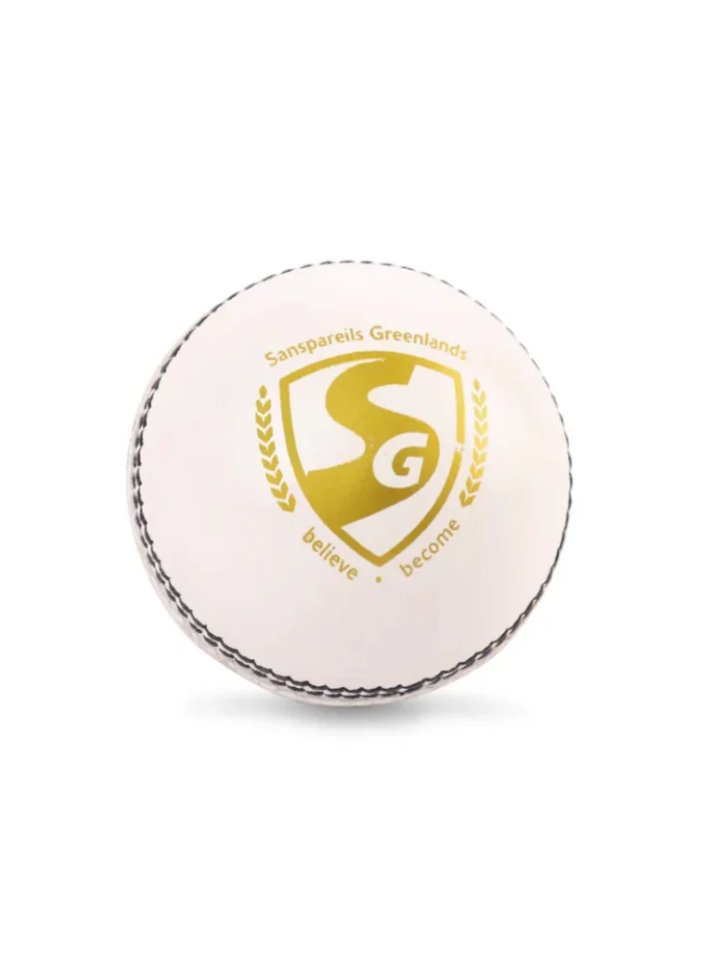 SG Shield 20 Cricket Ball