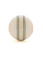 SG Super 50 Cricket Ball